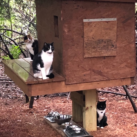 Meet your Posher, Gilda - Picture 4 of 10